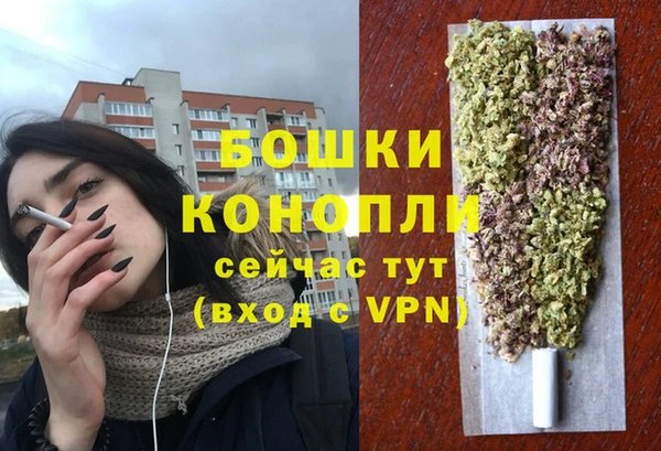 спайс Баксан